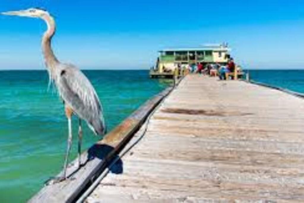 Apartment Waterview Oasis Retreat, Minutes To Anna Maria Island And Img Bradenton