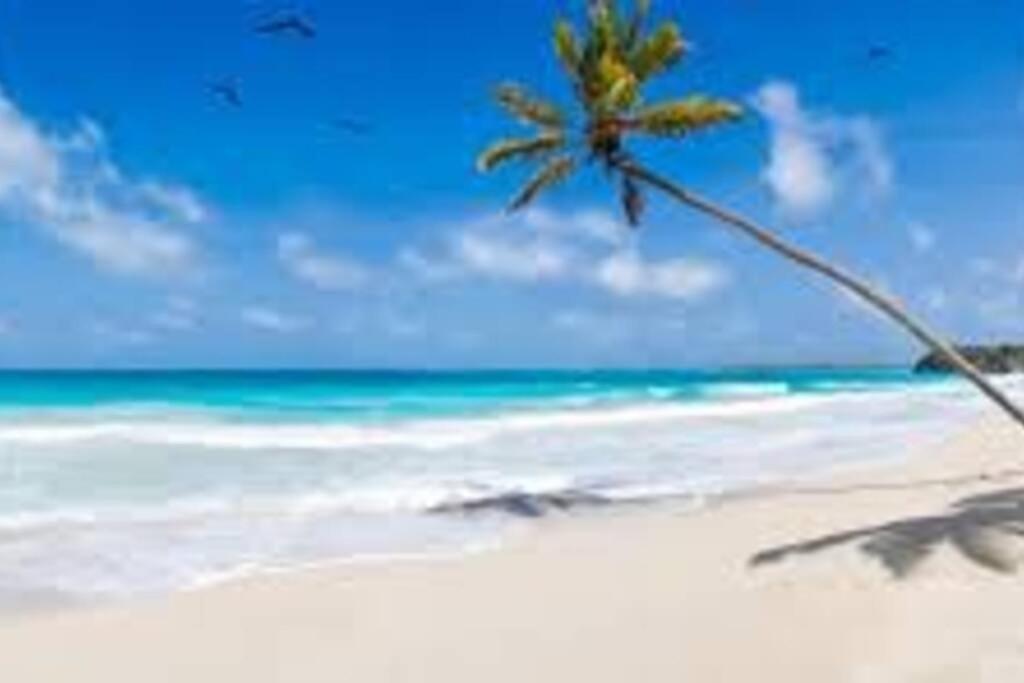 Apartment Waterview Oasis Retreat, Minutes To Anna Maria Island And Img